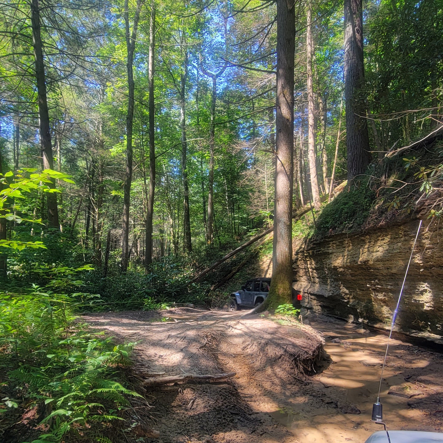 Guided Off-Road Tour - Red River Gorge Area